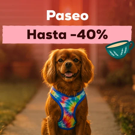 Hasta -40% en selección de accesorios para paseo Hasta -40% en selección de accesorios para paseo