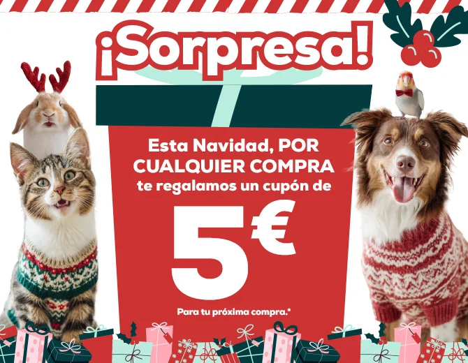 -5€ de regalo de navidad