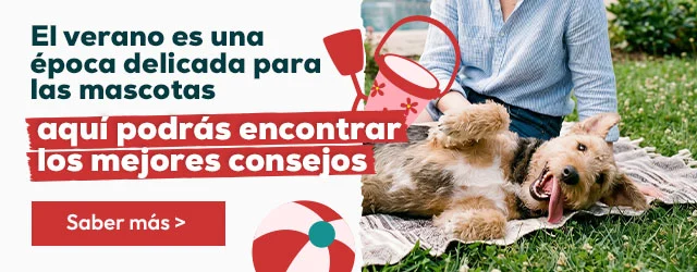 Disfruta de un buen chapuzón este verano