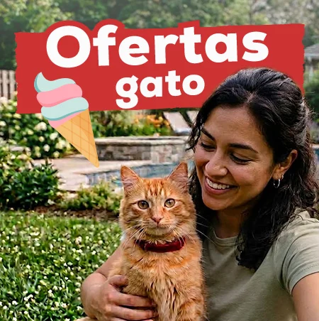 Ofertas para gato