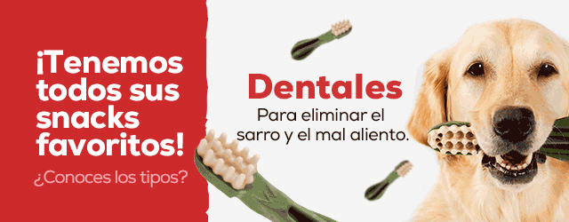 ¿Conoces los tipo de snacks?