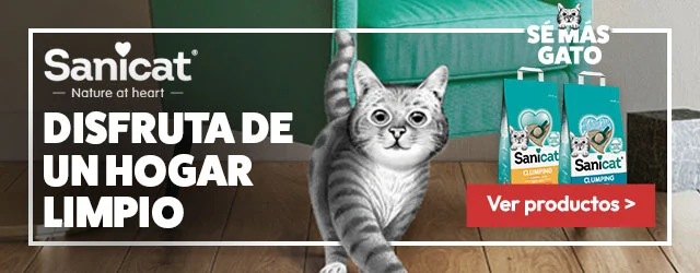 Sanicat: Disfruta de un hogar limpio