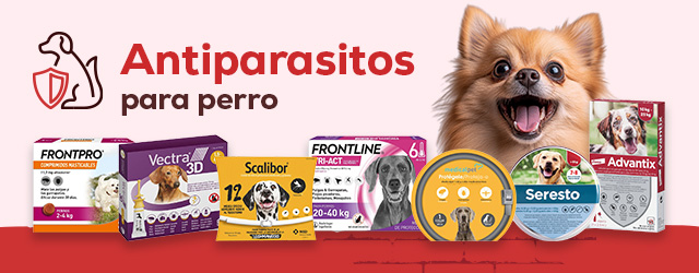 Antiparasitarios Perro