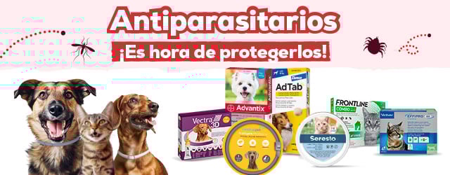 cual es el mejor antiparasitario para perros