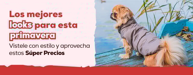La ropa que necesita tu mascota para esta primavera.  Ahora con Súper precio