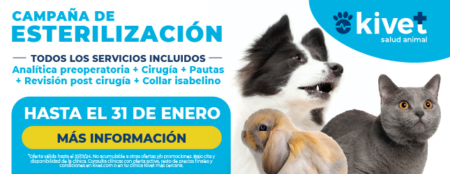 Kivet: campaña de esterilización