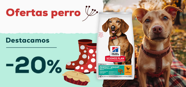 Hill's: -20% en selección de pienso para perro