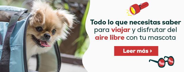  Todo lo que necesitas saber para viajar y disfrutar al aire libre con tu mascota