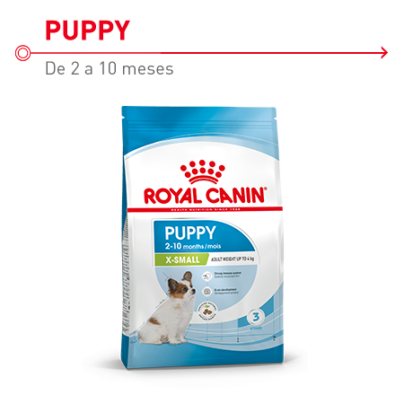 Pienso para cachorros de raza miniatura hasta los 10 meses Royal Canin X-Small Puppy