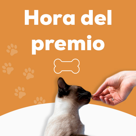 Hora del premio - los mejores descuentos en snacks