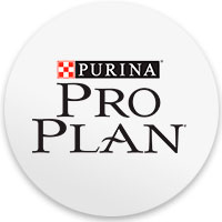 Pro Plan