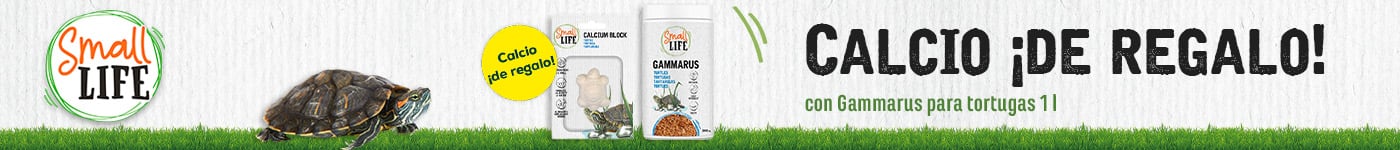 Small Life: 1bloque de calcio de regalo con Gammarus para tortugas Small Life 1l