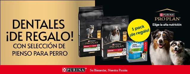 Pro Plan: 1 pack de snacks de regalo con selección de pienso para perro