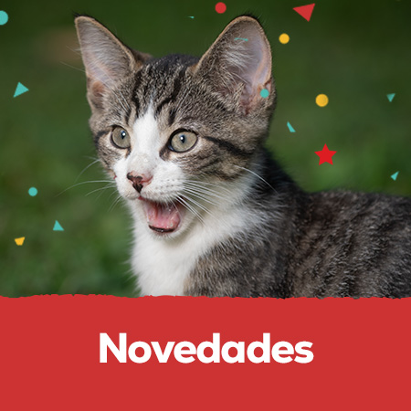 Novedades: Descubre nuevos productos y las tendencias para el cuidado de las mascotas