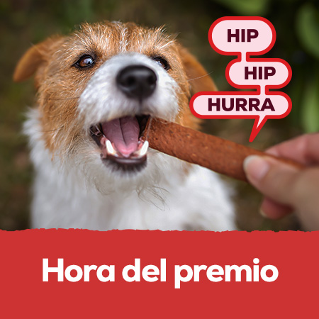 Snacks: Hasta -30% en amplia selección para perro y gato