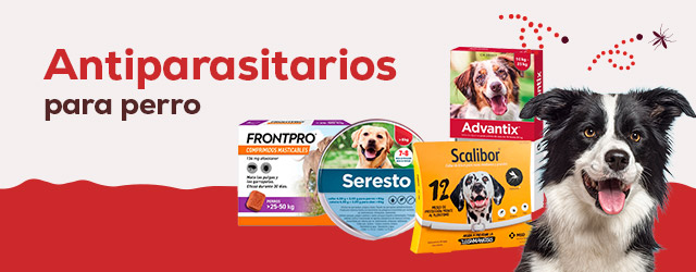Antiparasitarios Perro