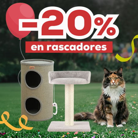 -20% en selección de rascadores
