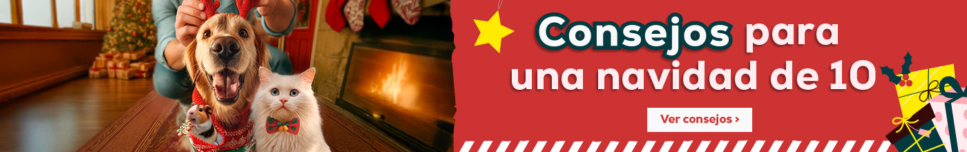 Toda la magia de la Navidad está en Kiwoko