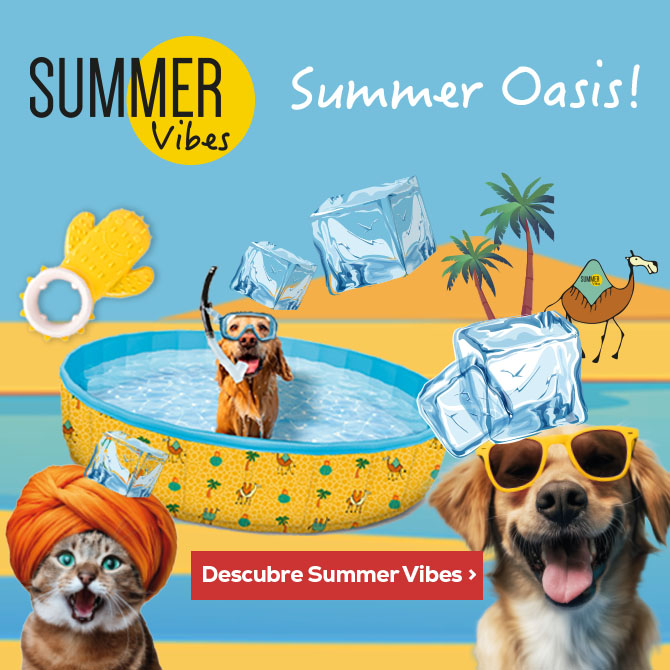 Summer Vibes: Disfruta de un buen chapuzón este verano