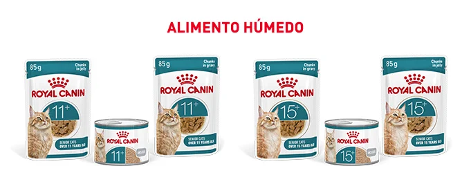 Royal Canin Senior. Encuentra la comida húmeda que mejor se adapta para tu gato de edad avanzada.