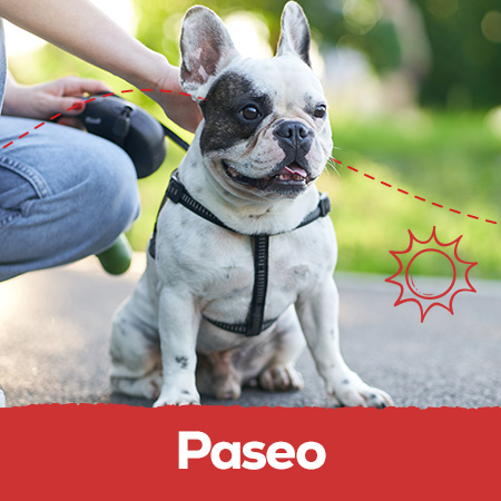 Paseo y aire libre