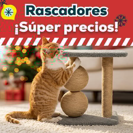 Súper precios en rascadores. EL regalo perfecto para navidad