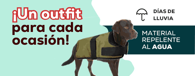 paleta Crónica odio Ropa para Perros | Kiwoko