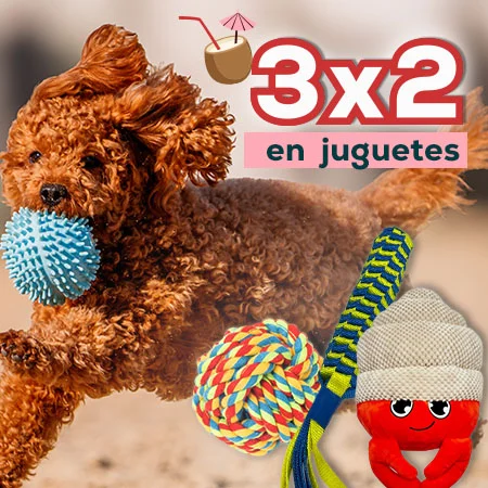 3 x 2 en selección de juguetes