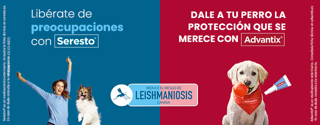 Seresto y Advantix: Collar antiparasitario y pipetas antiparasitarias para perro