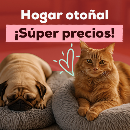 Súper precios en selección de accesorio de hogar
