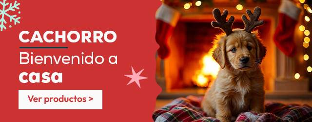 Cachorro: Bienvenido a casa por navidad