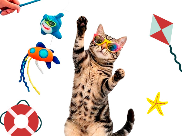 Juguetes veraniegos de exterior para perros y gatos