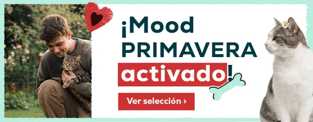 Bienvenida primavera: Hasta 50% en arie libre y muda de pelo para gato