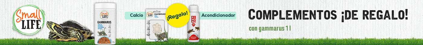 Small Life: Complementos ¡de regalo! con gammarus 1 l