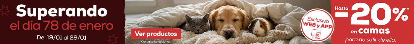 Hasta -20% en camas