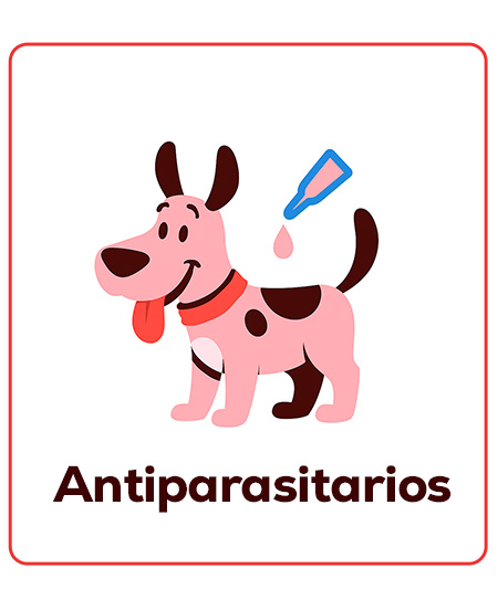 Antiparasitarios específicos para cachorros