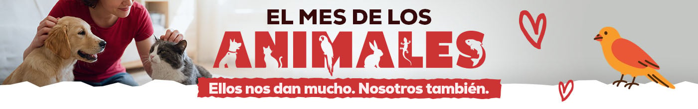 Mes de los animales