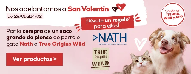 Regalo de juguete con todos los pedidos