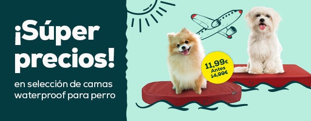 Súper precios en camas waterproof para perro
