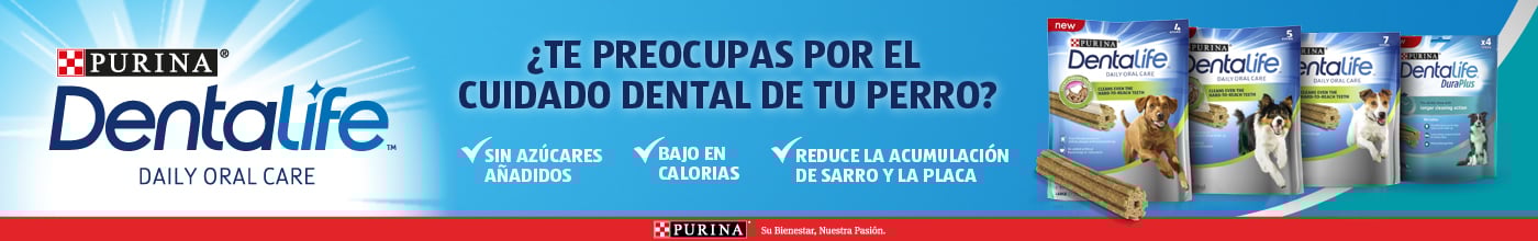 Para el cuidado dental diario de tu perro