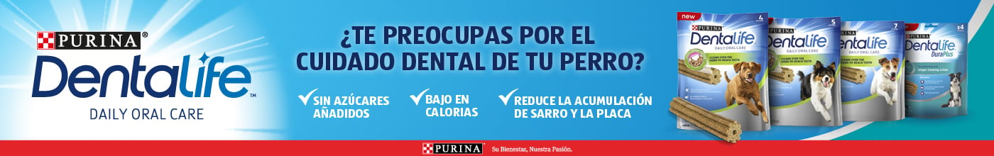 Para el cuidado dental diario de tu perro