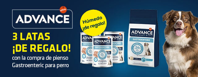 Advance: 3 latas de húmedo de regalo con la compra de pienso Gastroenteric para perro