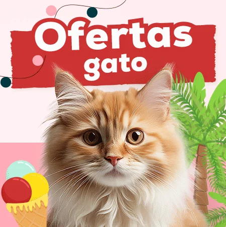 Ofertas para gato