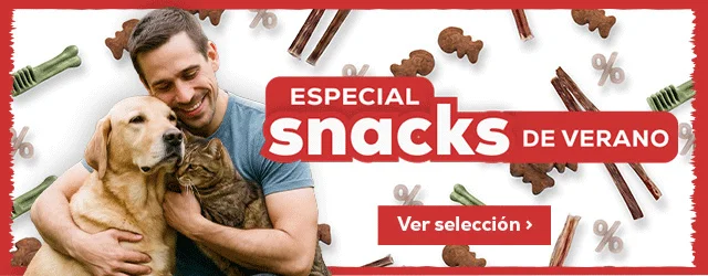 Elige su snacks favorito