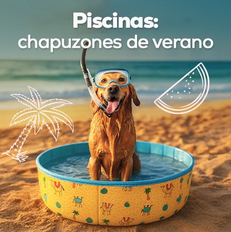 Piscina: Chapuzones de verano