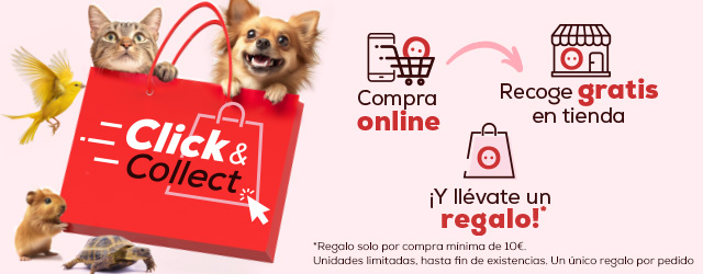 Click & Collect
