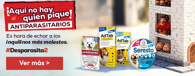 Antiparasitarios: Es hora de protegerlos de las pulgas, garrapatas, flébotomos...