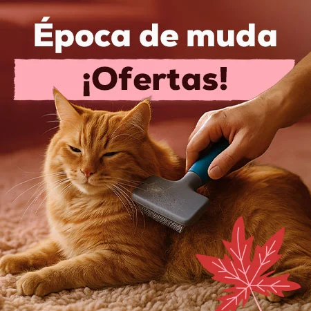 Ofertas para la época de muda Ofertas para la época de muda