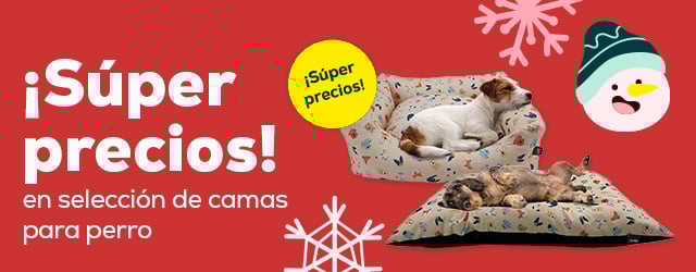 Súper precios en camas. Regala descanso