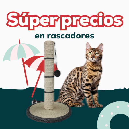 Súper precios en selección de rascadores